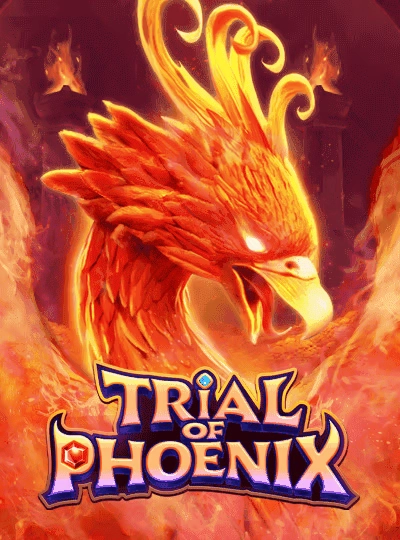 ck44cm